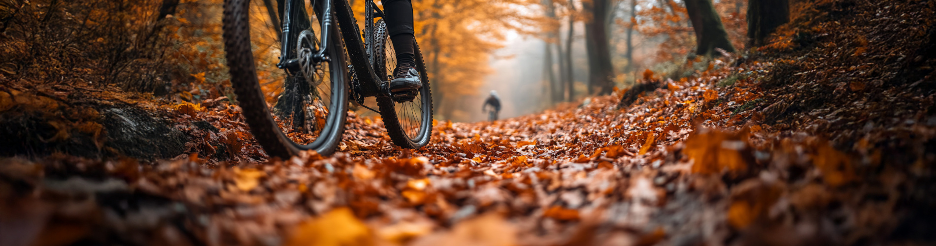 Johan Koolen Fietsen