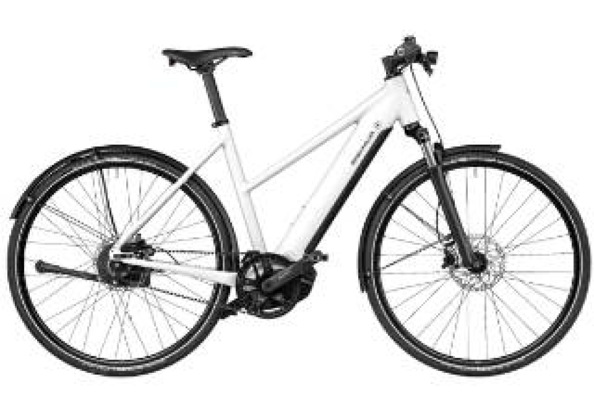 Riese & Müller roadster vario, wit