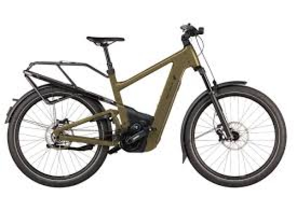 Riese & Müller Delite5 GT Pinion T